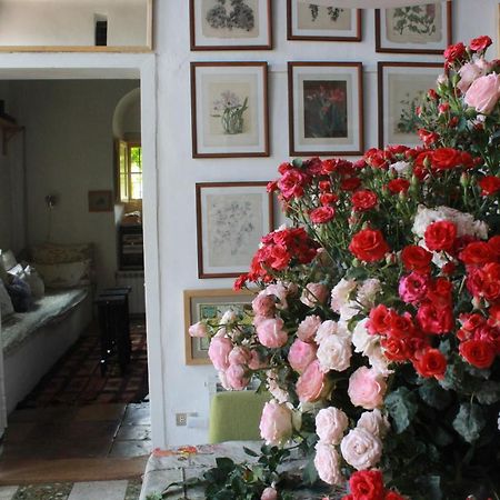 Bed and Breakfast Beit Douma Экстерьер фото