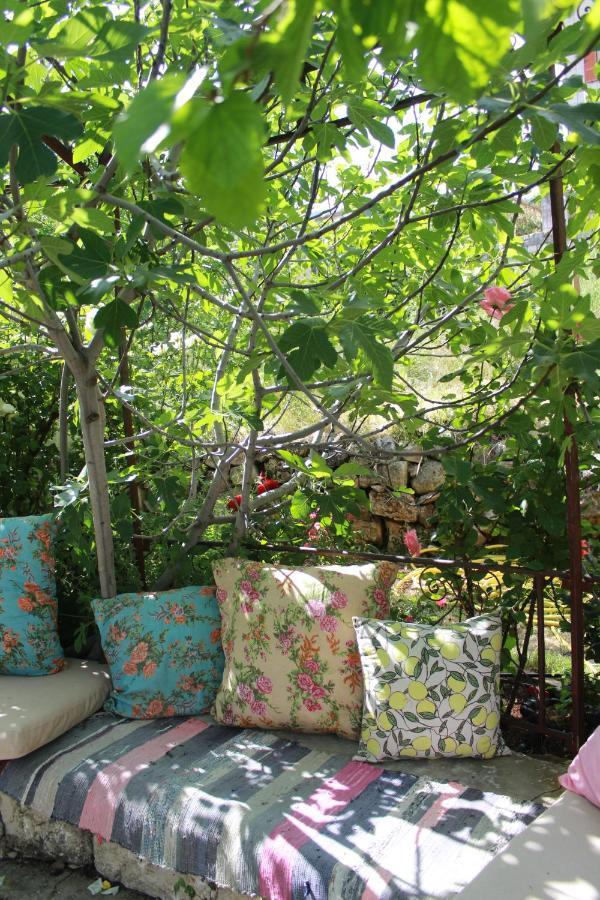 Bed and Breakfast Beit Douma Экстерьер фото